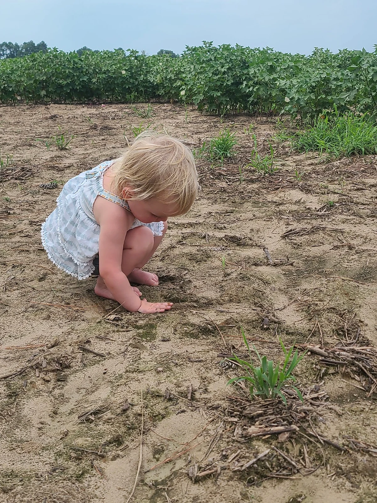 Young child exploring soil and natural textures outdoors